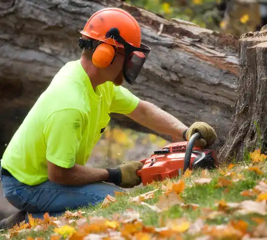 tree services Crosslake